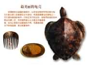 �������Ĺ��