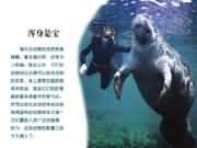 º£Å£»ëÉí¶¼ÊDZ¦