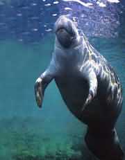 ³óª±¿×¾µÄÈåôÞ