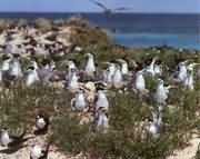 ��Ϣ�ں����ߵ���Ⱥ