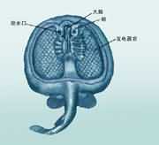 ������������ʾ��ͼ