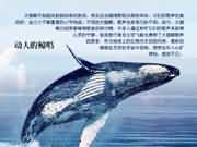 ���˵ľ���