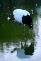 ʪ�غ�����Ϣ�ĵ�����