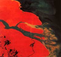 ���ǳ����ڼ������ϲ�������ǳɫ�ĵط���ǳ̲��ɳ����