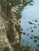 »ùÑÒº£°¶µÄº£Ê´µØÃ²g¸£½¨Æ½Ì¶µºÉϵĺ£Ê´ÖìÏñ·«´¬Ò»Ñù¸ß¸ßµØÒÙÁ¢ÔÚº£µºÉÏ