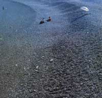 ��ɽȺ������ʯ̲