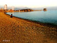 �������ǹ�԰���ߵ���ʯ̲