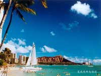 �����ĵ�ɳ�ʺ���