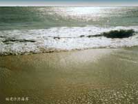 ����Χͷɳ�ʺ���