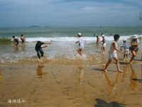 ������ƽ̹ϸ����ɳ̲����Ϸ