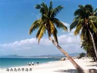 ���Ǵ󶫺�ϸ���İ�ɳ̲