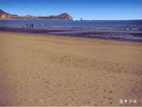 ������ɳ̲��