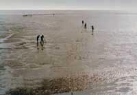 �ӱ������ʺ���