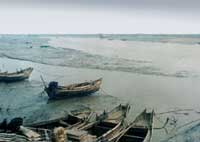 �˳�ʱ�����ຣ��