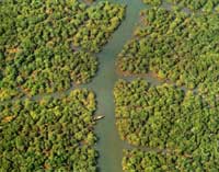 �����������ڷֲ��ܹ�ĺ�����