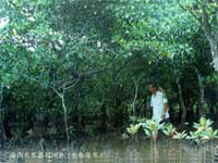 ����ֲ���̥������Щ����ֲ��Ĺ�ʵ�ڳ������Ȼ����ĸ������������ĸ���Ϲ�ʵ�ڷ�ѿ��