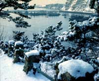 ��ѩ�������ҹ���������