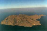 û��ֲ������ɽ��