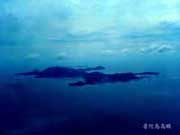 ������ӵ�