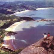 ��ɽȺ����Ҽ⡰ʮ���ɳ��