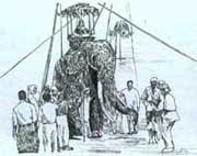 ʢװ�Ĵ���μ��������