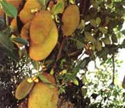 ���ϵ��ϵĲ�����