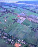 �ӿ��п�������