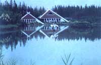 ����������ɭ�ֹ�԰