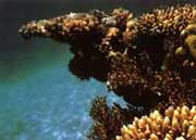 ��ɳȺ��ɺ����к�����ϵ�ɺ����