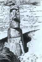 ʯ����ë������������� 