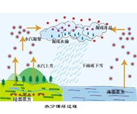 ˮѭ���Ĺ���