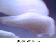 ��״�߻���