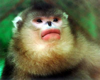 ���˿��ۣ�