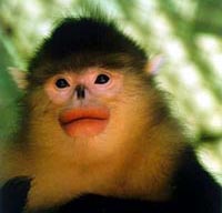 ���˿��ƣ�