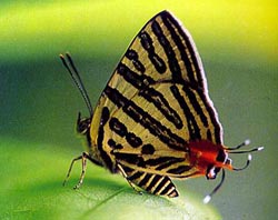 ������˿�ҵ�