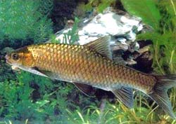 ���ϵ�����