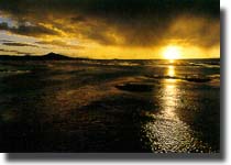 ãûãûºÓ·ç¹â