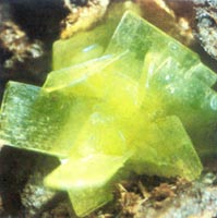 �Ŵ�1000�����˿�ʯ