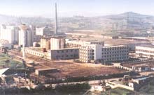 ����ơ�Ƴ����ҹ���һ��ʮ��ּ�ơ�Ƴ���