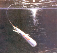 ��Ѳ������