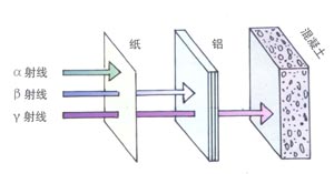 �����¡�����������