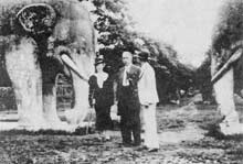 �������й�