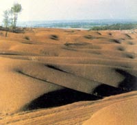 核实验污染沙漠