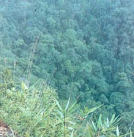 30��������������