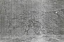 ����OKLO��ַ