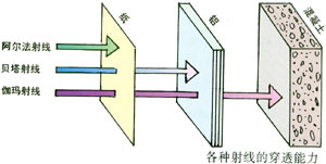 各种辐射的穿透能力
