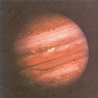 ľ�Ǽ�ľ��һ����