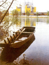 �����������������ӶѺ˵�վ