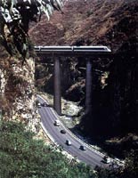 ������·