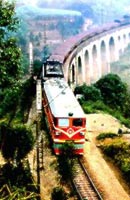 ������·